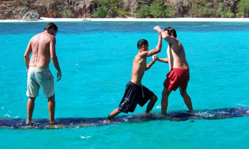 Picture from Coral Bay, Coron - Learn to dive